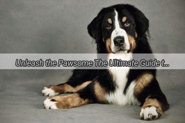 Unleash the Pawsome The Ultimate Guide to Dog Ownership Success